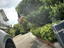 Ming Park (D20), Detached #570538531